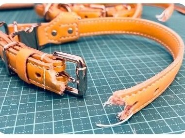 首輪の弱いところを確認してみた