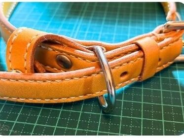 首輪の弱いところを確認してみた