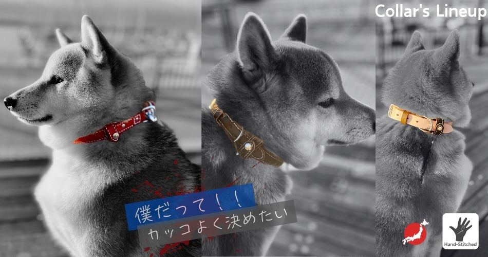 collar_lineup